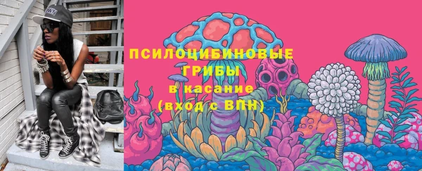 круглые Дмитриев